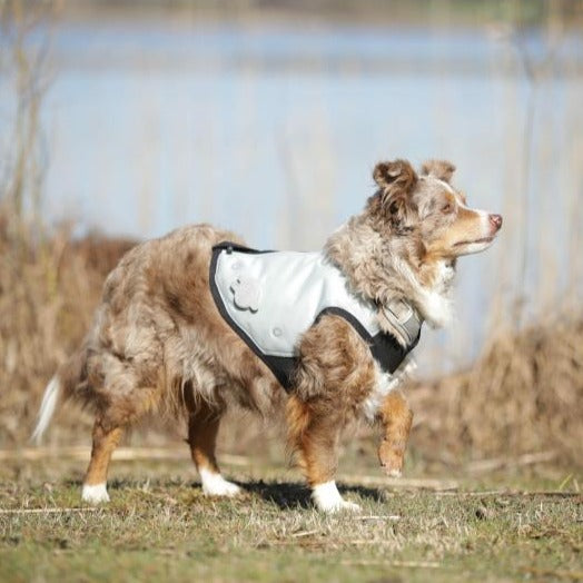 cani.cool Cooling Vest Grey