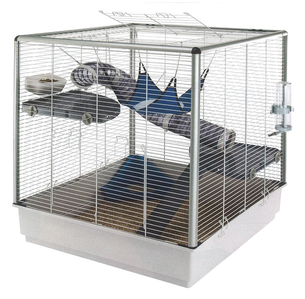 Rat home Furet