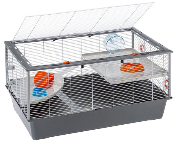 Hamster home Criceti