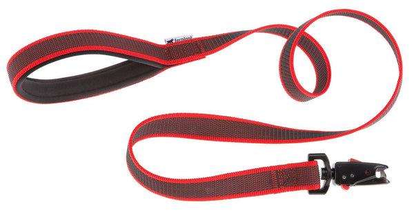 Dog city leash Daytona