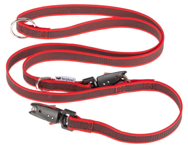 Dog leash Daytona