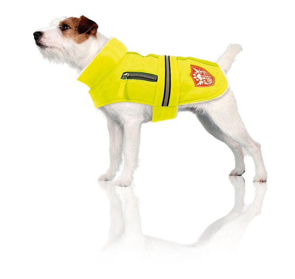 Winter Dog Coat Yellowdome