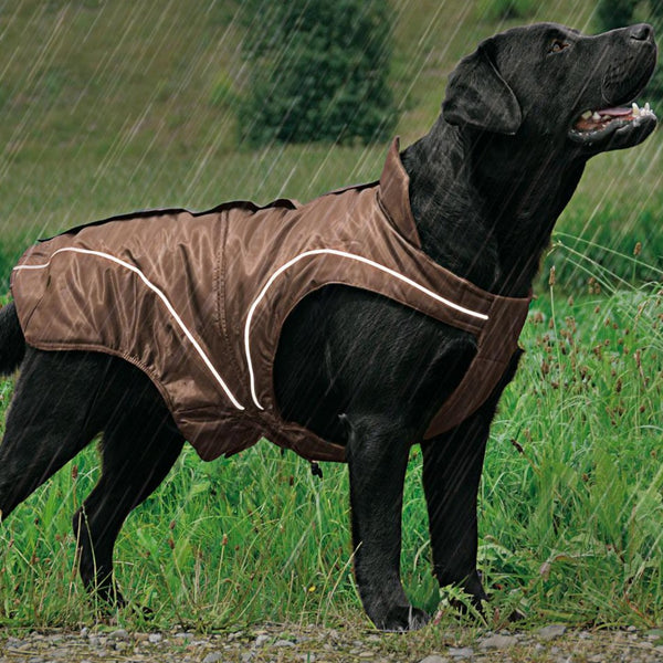 climaro dog winter jacket