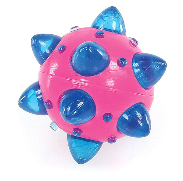 Dog toy light star