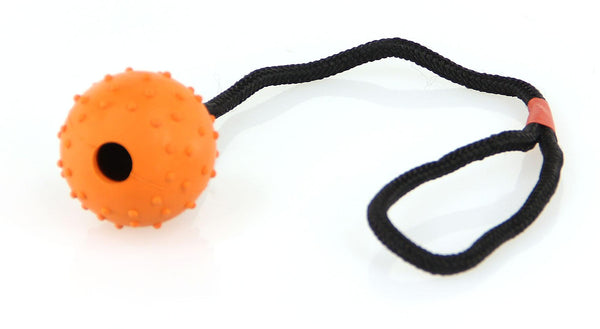 Dog toy Lungo ball with nubs, on a rope