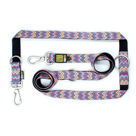 Max & Molly dog leash vintage