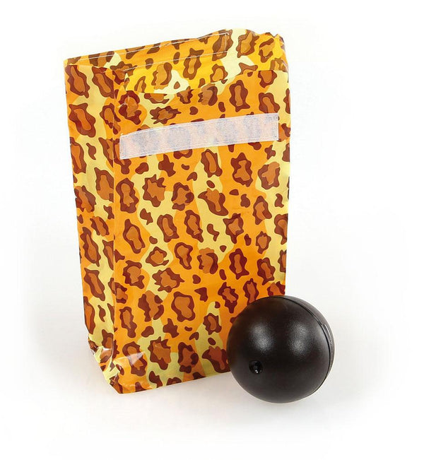 Crazy ball in a bag