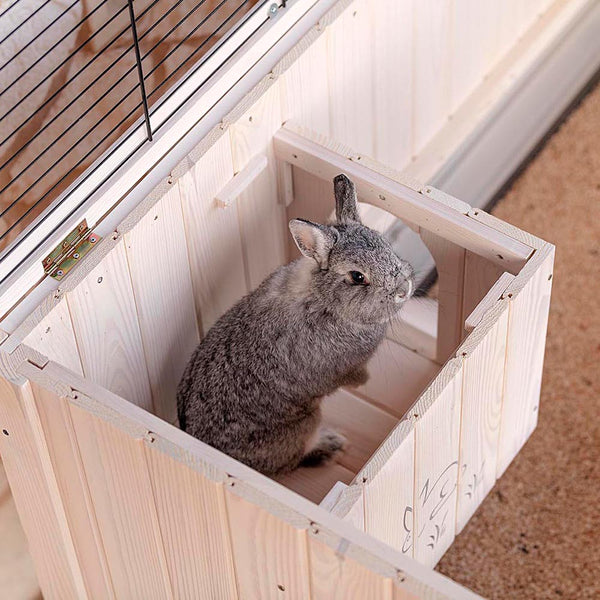 Indoor Rodent Hutch Cottage