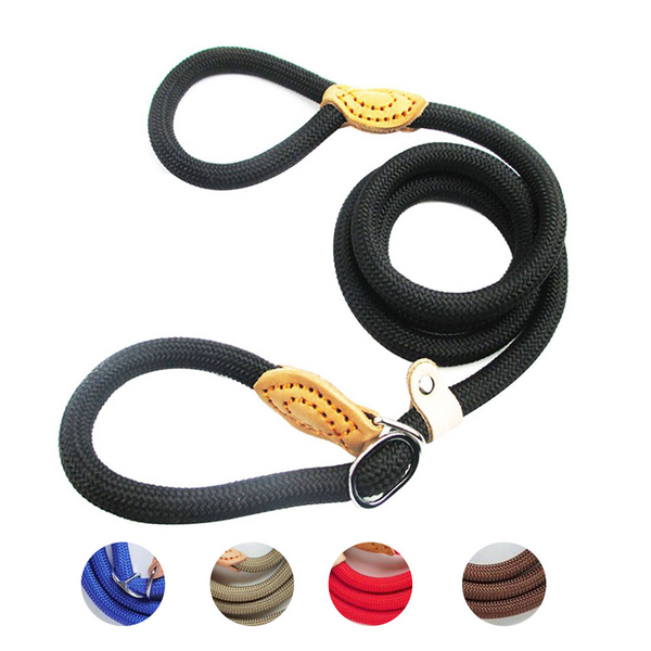 Nylon dog leash