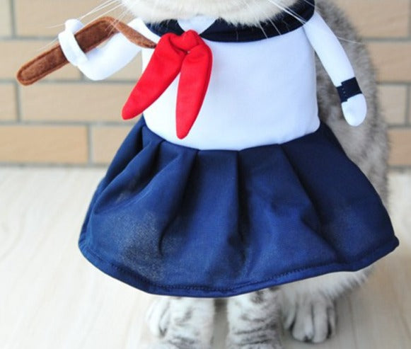 Schoolgirl Costume