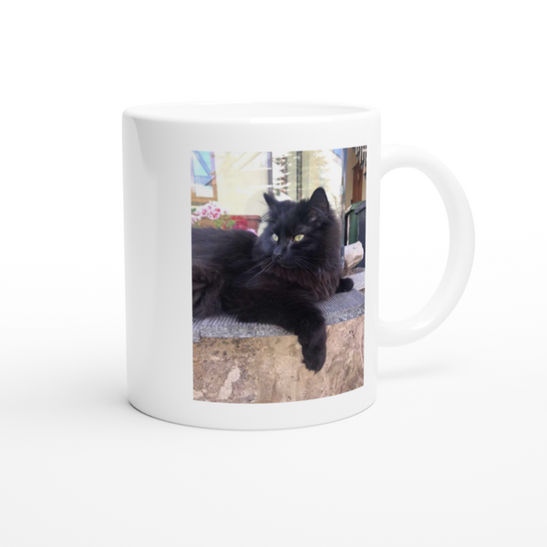 Photo mug of your furry nose