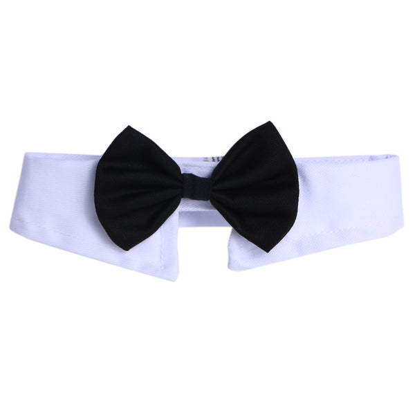 Dog bow tie