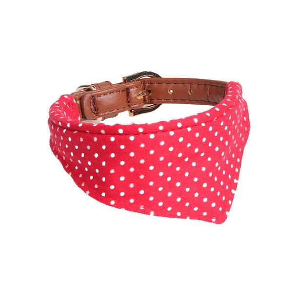 Pretty dog collar with matching dog leash